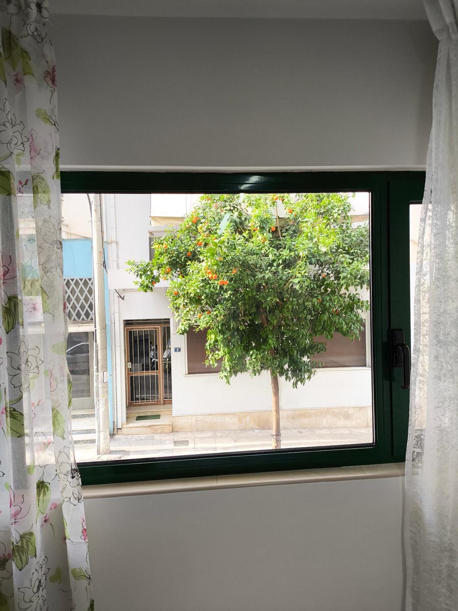 Green Home Атина Екстериор снимка